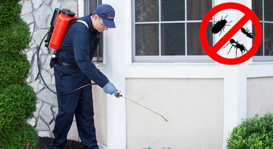 Küçükyalı Böcek ve Haşere İlaçlama böcek ilaçlama ve haşere kontrolü — ilaclama-tr.com